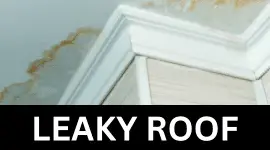 leaky roof